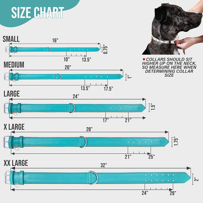 Riparo Dog Collars for Medium Dogs, Genuine Leather Dog Collar (M: 1" Wide for 13.5”-17.5” Neck, Aqua)