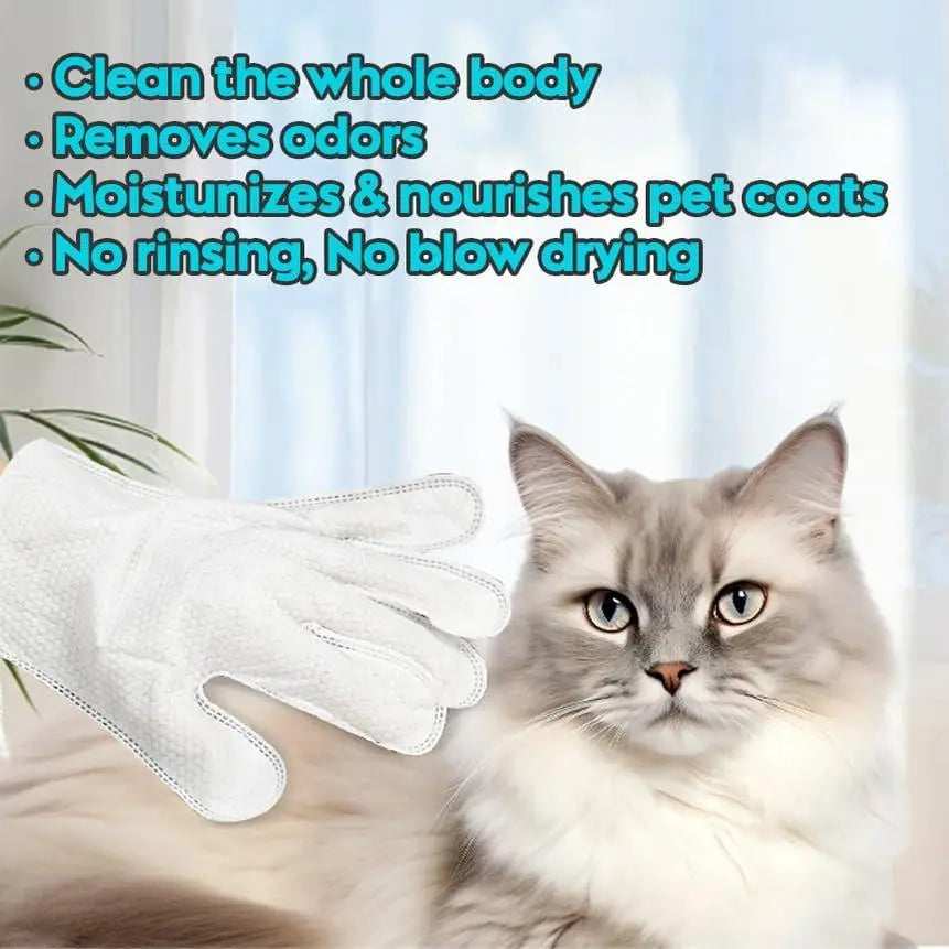 Pet Cleaning Gloves No-Rinse Wipes for Pets 6 Single -Apple Oil Magic Summervibes