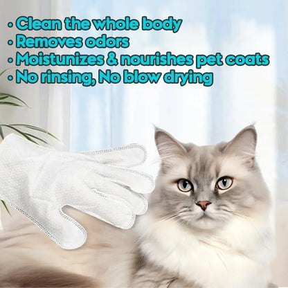 Pet Cleaning Gloves No-Rinse Wipes for Pets 6 Single -Apple Oil Magic Summervibes
