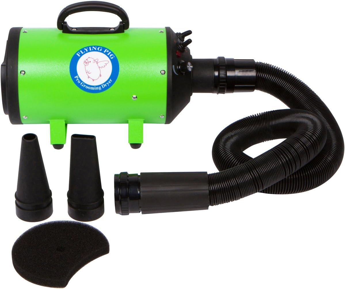 High Velocity Dog Pet Grooming Dryer W/Heater (Model: Flying One, Green)