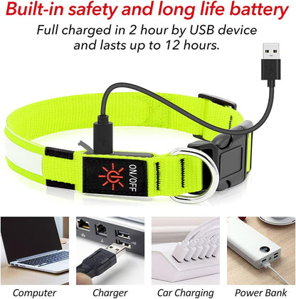 Light Up Safety Dog Collar, Rechargeable LED Dog Collar (Neon Green, Medium)