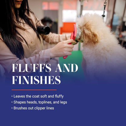 Big G Dog Slicker Brush for Dogs, Groom like a Professional, Fluff Detangle Style, Coral, Large